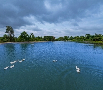 2-Acre Private Lake Serenity