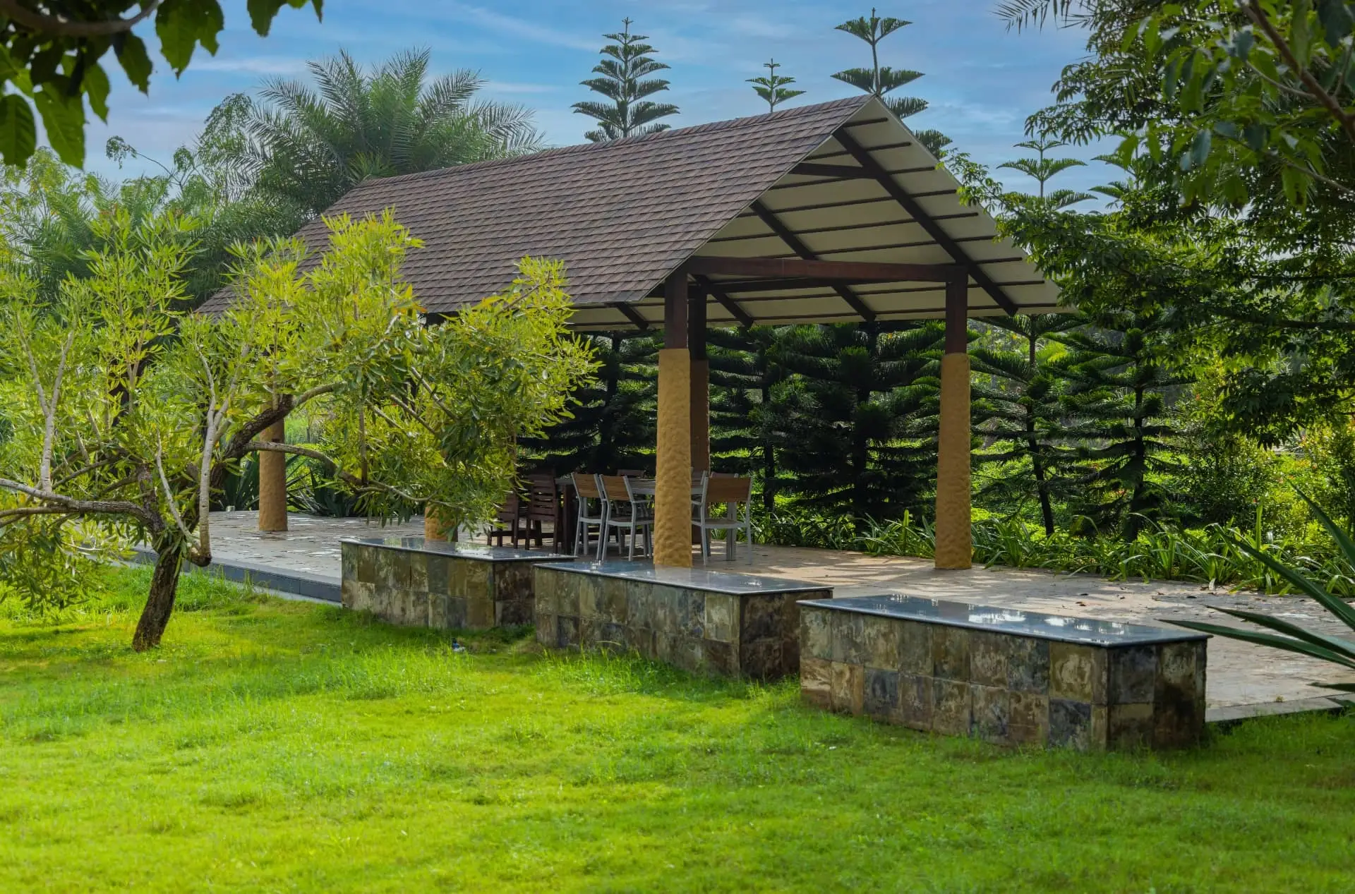 artificial oasis in frangipani