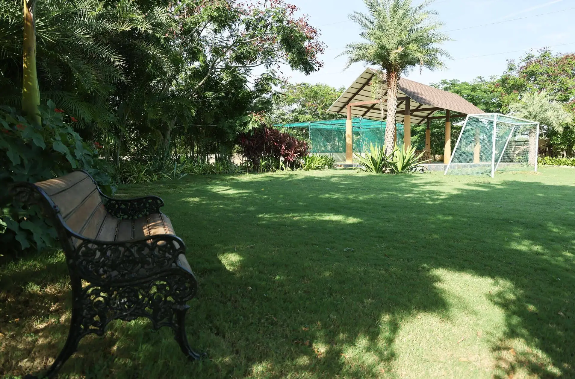 artificial oasis in frangipani