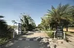 Walking Pavements in Frangipani