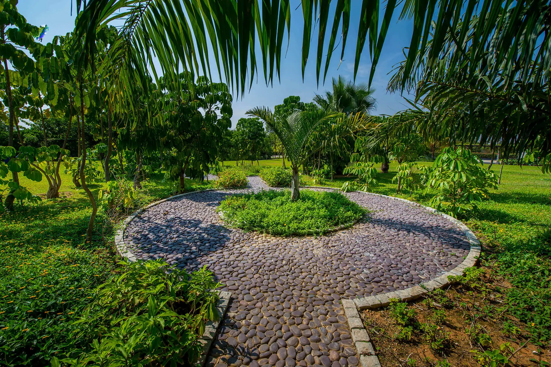 Stone landscaping in Frangipani