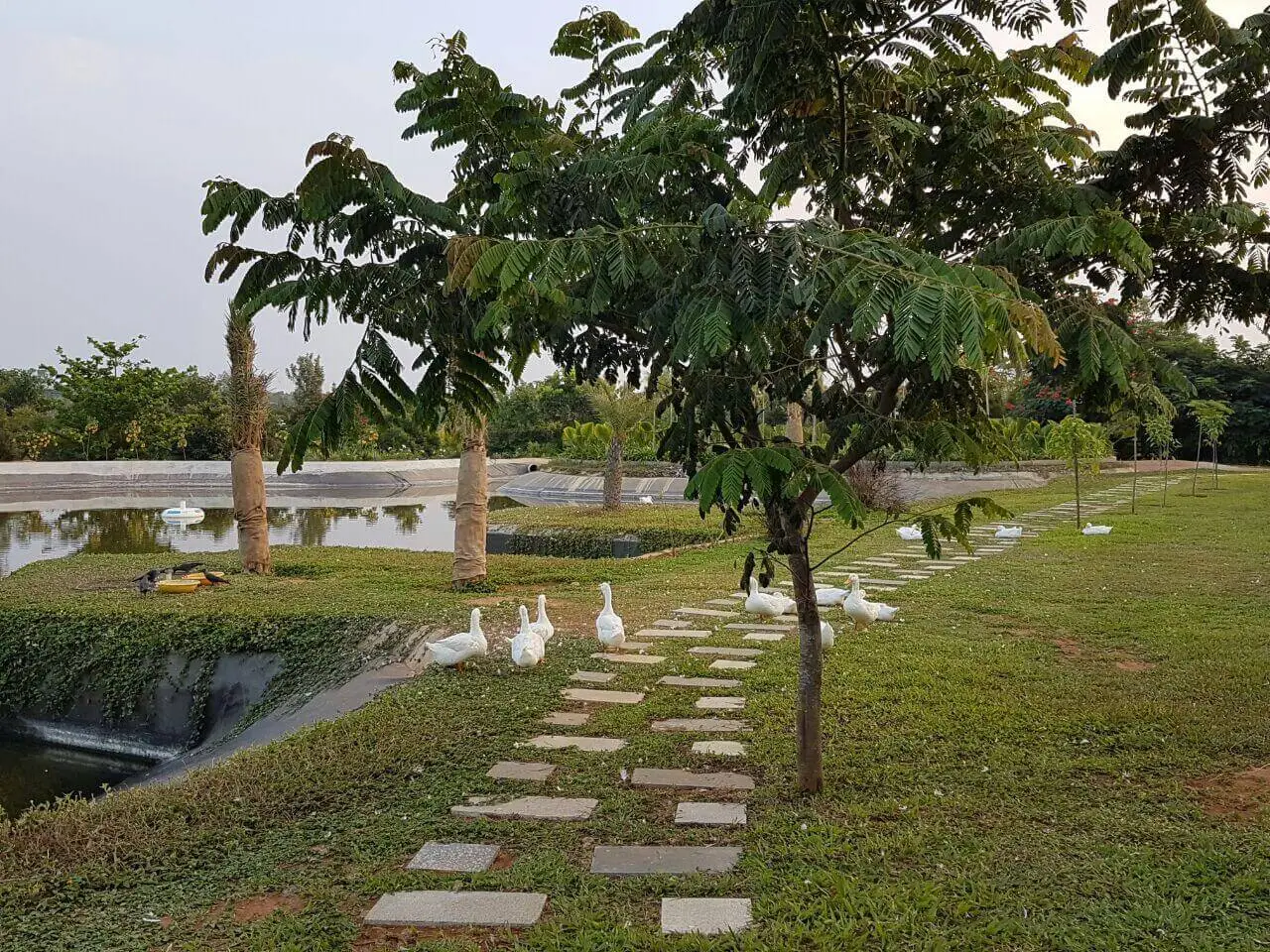 country living land for sale