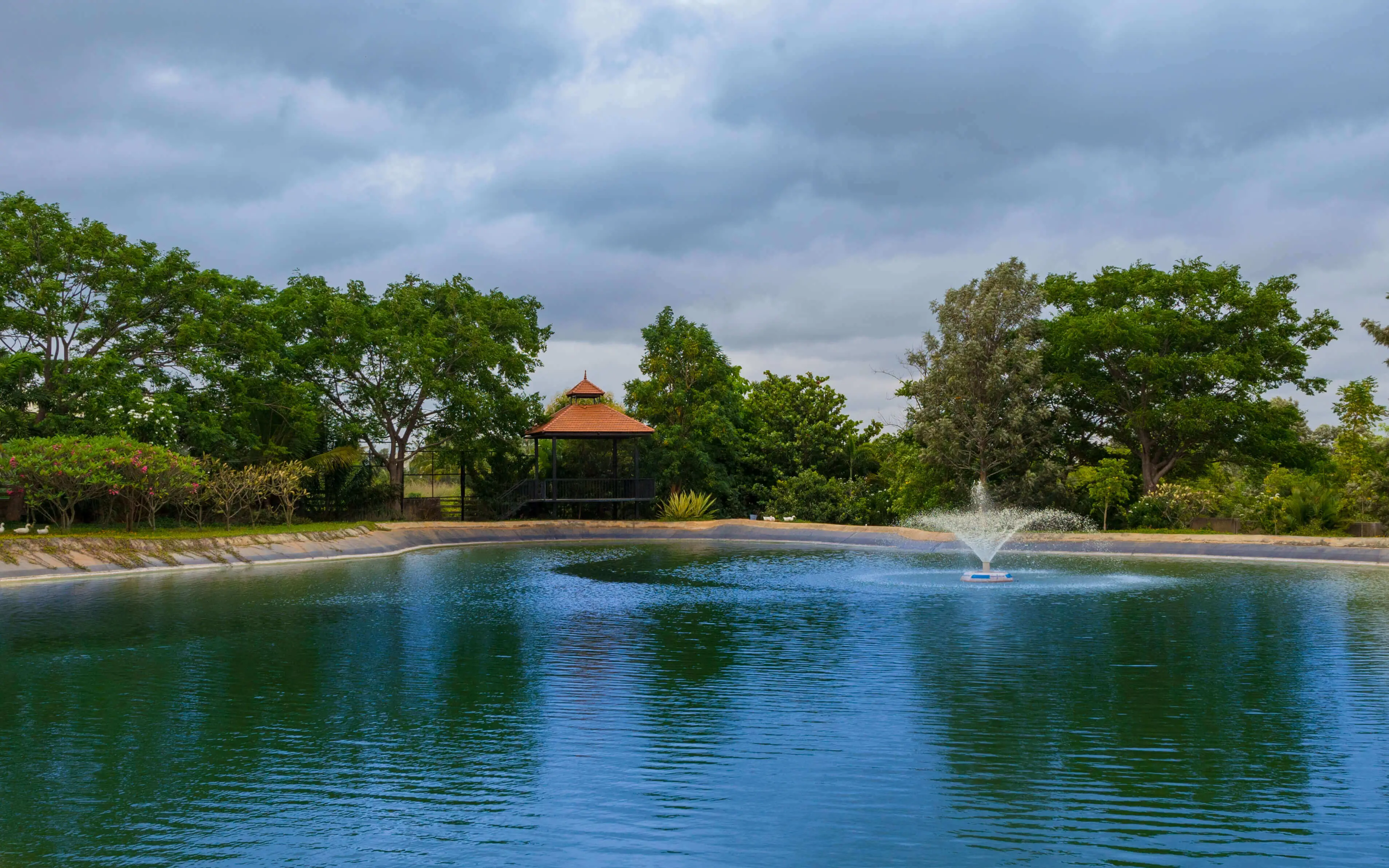 country living property for sale bangalore