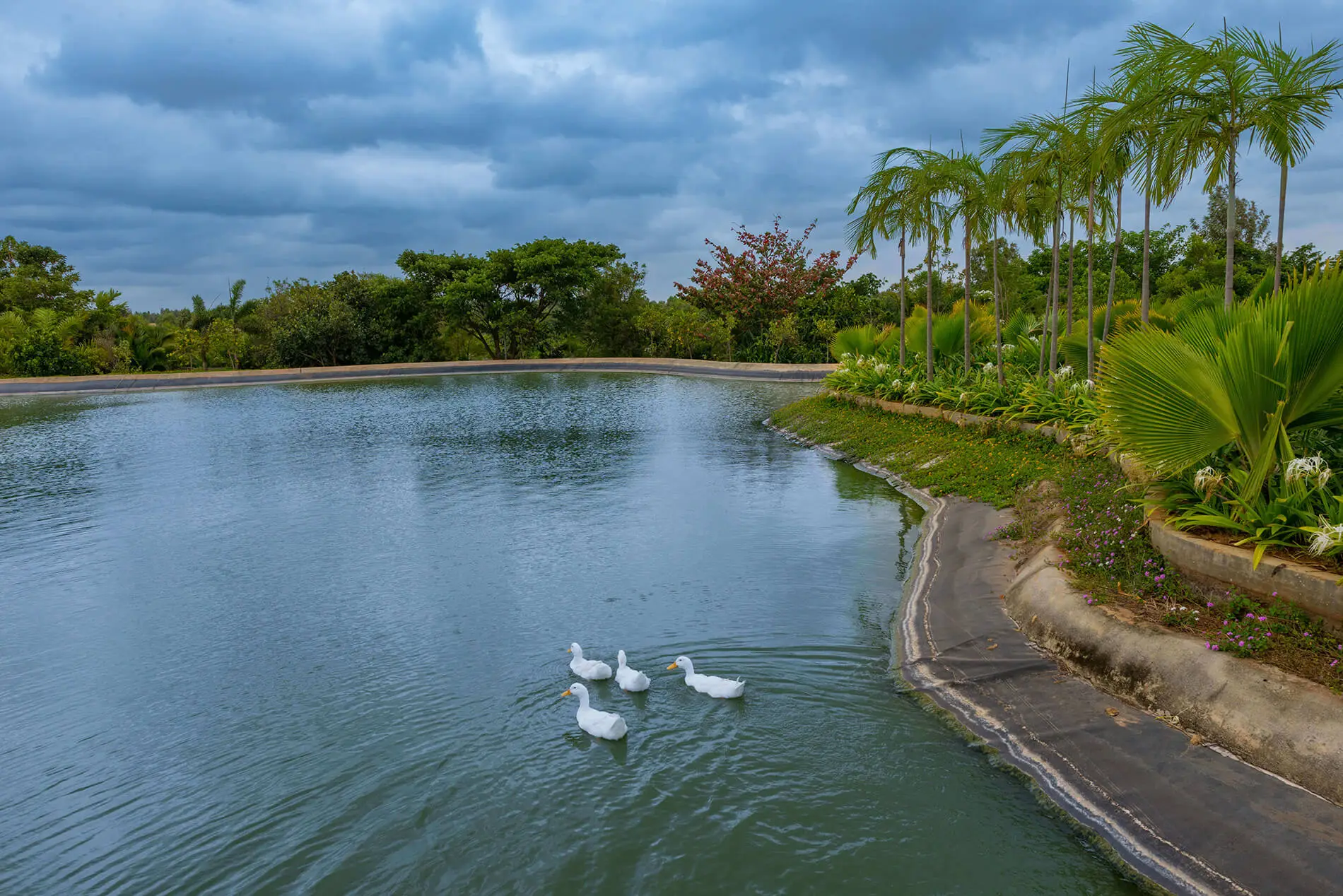 country living land for sale bangalore