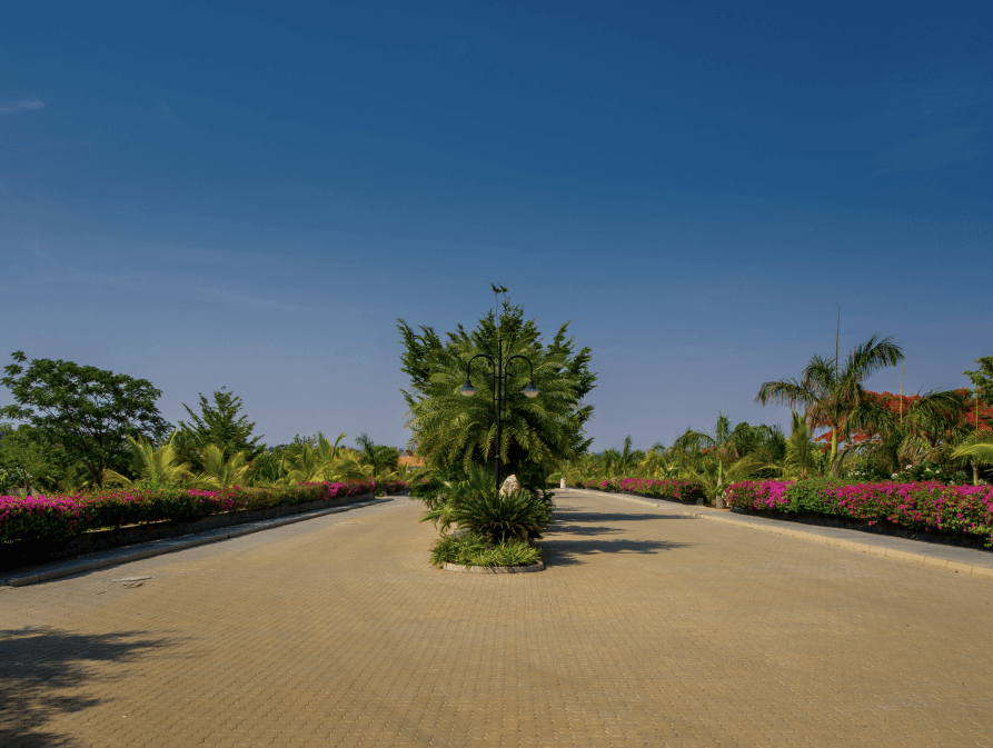 Road Median in frangipani estate