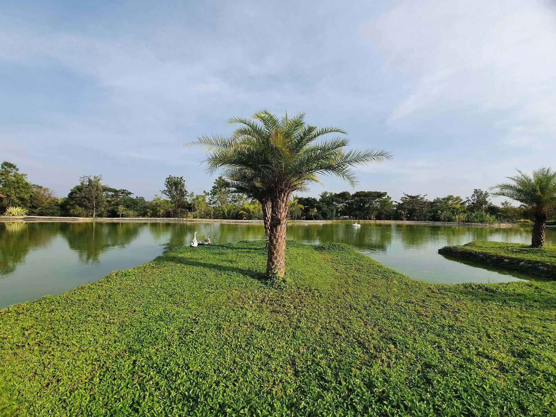 frangipani country estates in bangalore